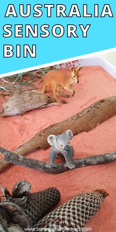 there are many different types of animals in the sand with text overlay that reads australia sensory bin