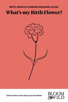 the birth flower is shown in black and white on an orange background with text that reads,