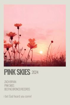 pink skies album cover with flowers in the foreground