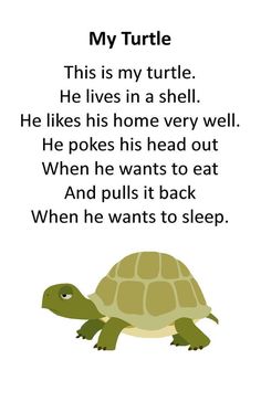 an image of a turtle with the words, my turtle