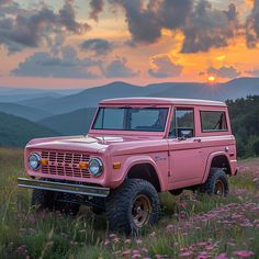 a pink truck parked on top of a lush green field