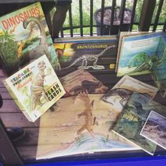 there are many books on display in the glass case, including dinosaurs and dinosaurs