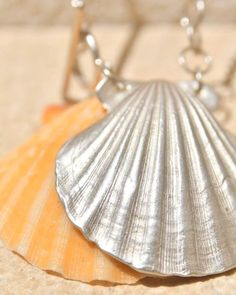 a close up of a sea shell on a chain