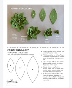 the instructions for making paper succulents are shown in this page, which shows how