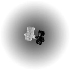 two black and white teddy bears sitting next to each other on a gray background,