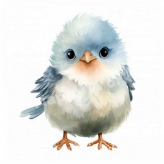 a watercolor painting of a blue and white bird with large, fluffy feathers on it's head