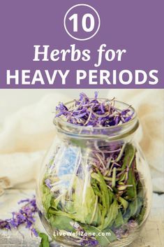 Menstrual Herbs, Menstrual Tips, Menstrual Tea, Womb Health, Medicinal Remedies, Period Health, Menstrual Phase