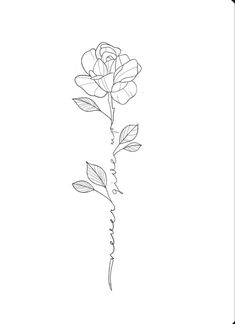 a drawing of a single rose on a white background