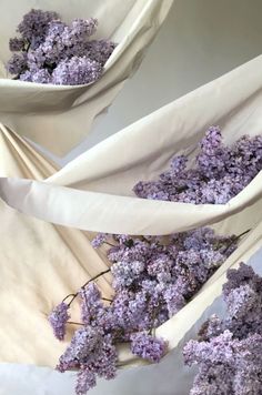 purple flowers are wrapped in white paper to look like they have been dried or wilted