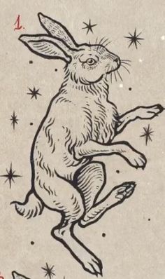 a drawing of a rabbit jumping in the air with stars around it's back