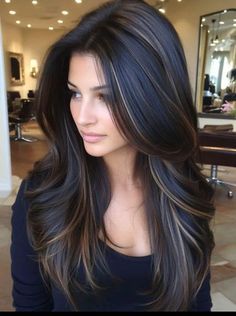 High Contrast Brown Hair, Black Hair Going Lighter, 2024 Dark Hair Trends, Lowlights Brown Hair, Black Hair With Highlights And Lowlights, Lowlights For Brunettes, Dark Brown Hair With Low Lights, Black Hair With Lowlights