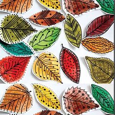 an assortment of colorful leaves on white paper