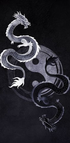 two white and black dragon on a black background