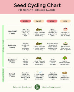 How To Make A Fertility-Boosting Smoothie + Dark Chocolate Strawberry Fudge Fertility Smoothie Recipe » So Fresh N So Green Hormone Nutrition, Fertility Smoothie, Foods To Balance Hormones, Seed Cycling, Progesterone Levels, Menstrual Health, Feminine Health, Happy Hormones