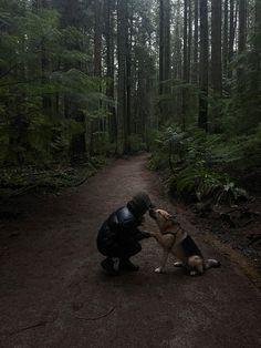 a man kneeling down next to a dog on a dirt road in the middle of a forest