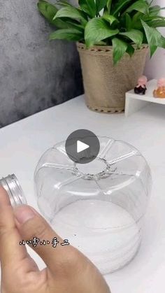 a person is holding a ring in their hand and touching it on the table next to a potted plant