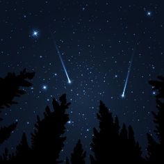 the night sky is filled with stars and shooting comets in the distance, as well as pine trees