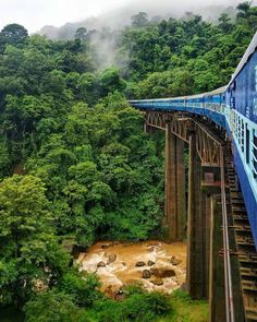 a blue train traveling over a bridge in the middle of a lush green forest area