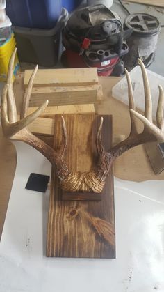 a deer's head is mounted on a piece of wood that has been cut into pieces