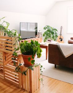 a living room filled with furniture and plants