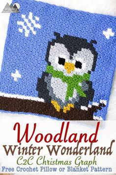 an owl is sitting on a tree branch with the words woodland winter wonderland written below it