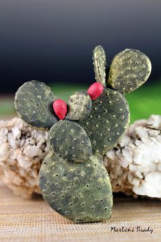 a small cactus with two red berries on it's head sitting next to some rocks