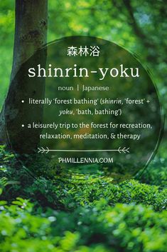 Shinrin Yoku Photography, Japanese Forest Bathing, Forest Bathing Quotes, Forest Bathing Photography, Reconnecting With Nature, Shirin Yoku, Quotes Japanese, Forest Therapy, Nature Photography Quotes