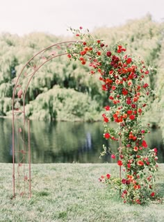 an arch with red flowers on it in the grass near a body of water and trees