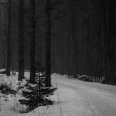 a black and white photo of a snowy road in the woods