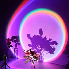 a vase filled with flowers sitting next to a rainbow colored circle on a table top