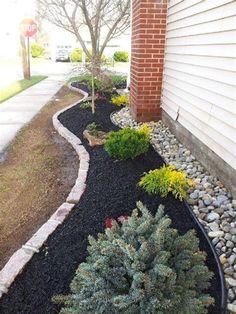 a garden with rocks and plants next to a house