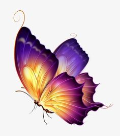 a purple and yellow butterfly flying in the air with its wings spread wide open, on a white background