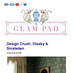 the front cover of glampadd's design crush olsky & sinsteden