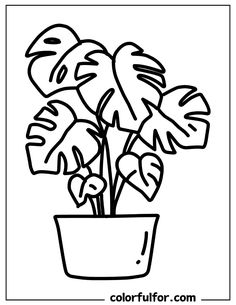 a potted plant with leaves coloring page