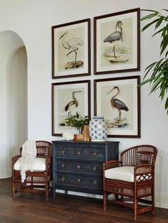 two chairs and a dresser in a room with paintings on the wall above them, along with a potted plant