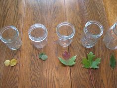 four clear cups sitting on top of a wooden table next to leafy green leaves