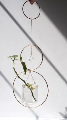 a plant is hanging from a wire with a glass vase in the middle and another one on top