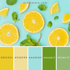 some oranges and mint leaves are on a blue background with the color scheme in green