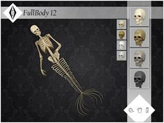 an image of a skeleton with different facial expressions