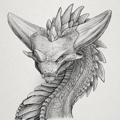 a pencil drawing of a dragon head