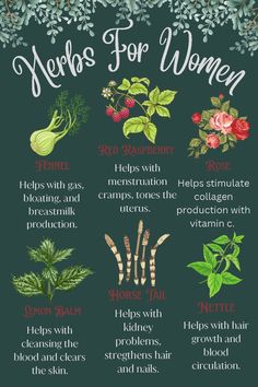 Herbs For Women, Books And Tea, Medical Herbs, Magia Das Ervas, Magic Herbs, Feminine Health, Herbal Apothecary, Natural Healing Remedies, Herbal Healing