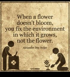 an old poster with a quote on it saying, when a flower doesn't bloom, you fix the environment in which it grows, not the flowers, not the flower