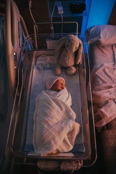 a baby in a hospital bed with a stuffed animal next to it's side