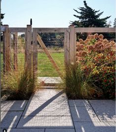 a wooden gate in the middle of a garden