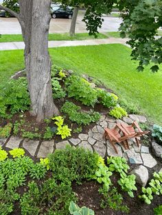 a wooden chair sitting under a tree in the middle of a garden with rocks and plants around it