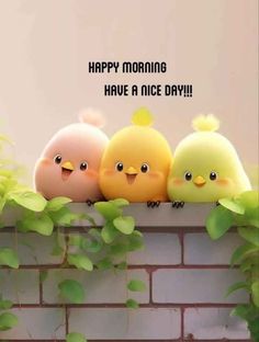 three little birds sitting on top of a brick wall with the words happy morning have a nice day