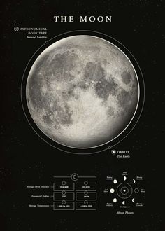 the moon is shown in black and white, with different phases to it's surface