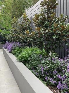 a garden filled with lots of plants next to a fence and trees on the side of a building