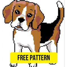 a beagle dog is shown with the words free pattern on it's side