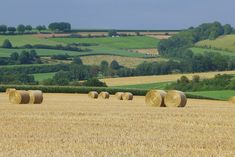 several bales of hay in a field with rolling hills in the background and trees